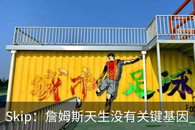 Skip：詹姆斯天生没有关键基因 总决赛胜率也是历史垫底